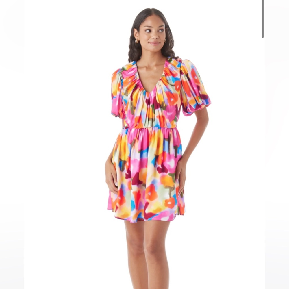 Crosby by Mollie Burch Rainey dress, XS, NWT